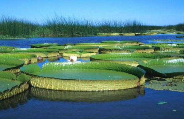 Национальный парк Предельта